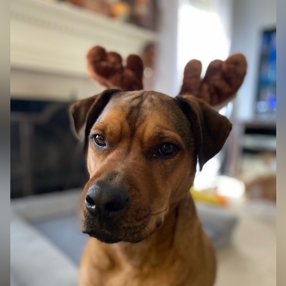 B U N D L E ❄️ UP - Picture 3 of 16